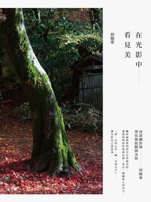 cover image of 在光影中看見美